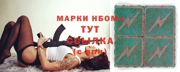 индика Карпинск