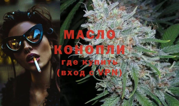 индика Карпинск