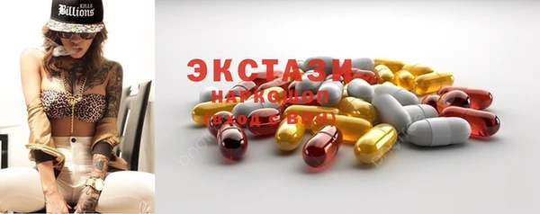 индика Карпинск