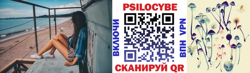 Купить  Сибай  Псилоцибиновые грибы Magic Shrooms 